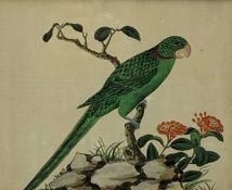 Chinese watercolour on rice paper of a Parakeet 17cm x 21cm Condition Report & Further