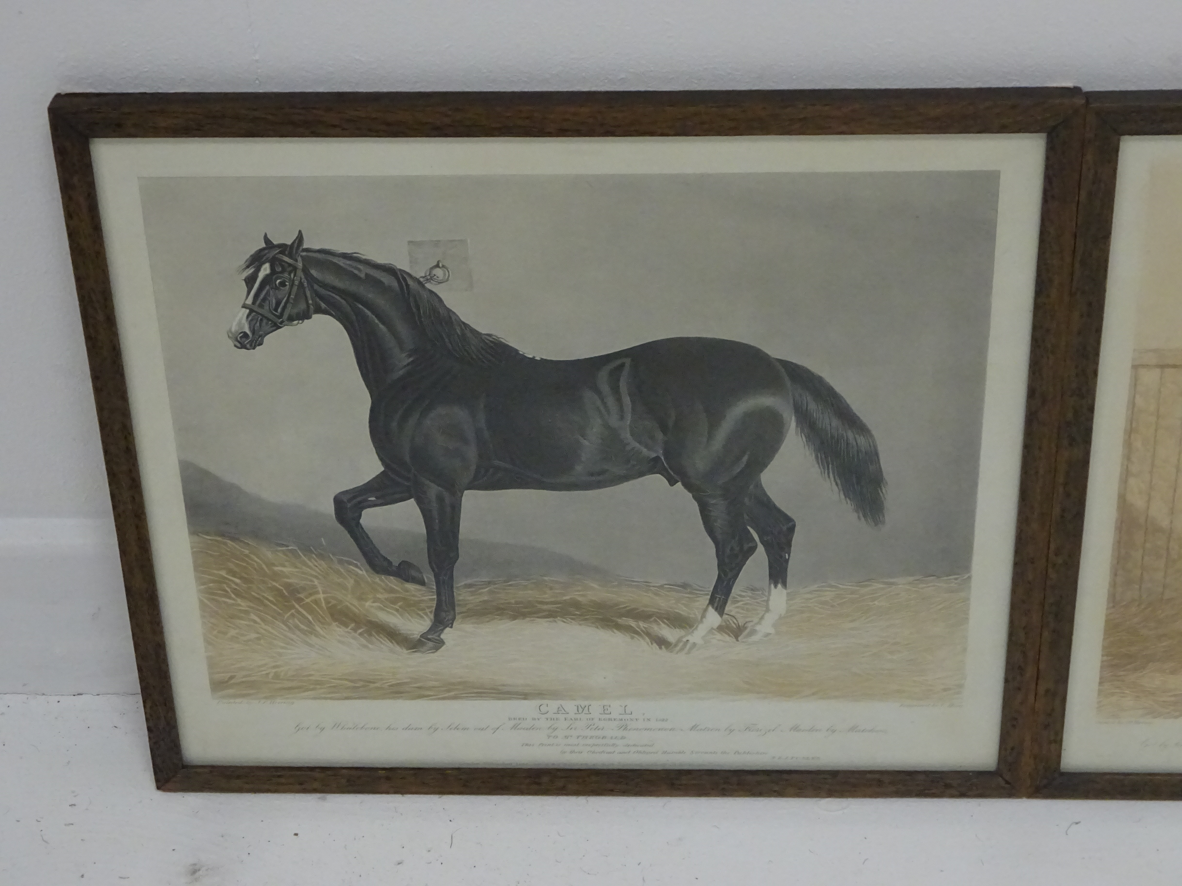 Hunt after Herring - Set of six early 19th Century aquatints of racehorses, 2 proofs, - Image 7 of 7