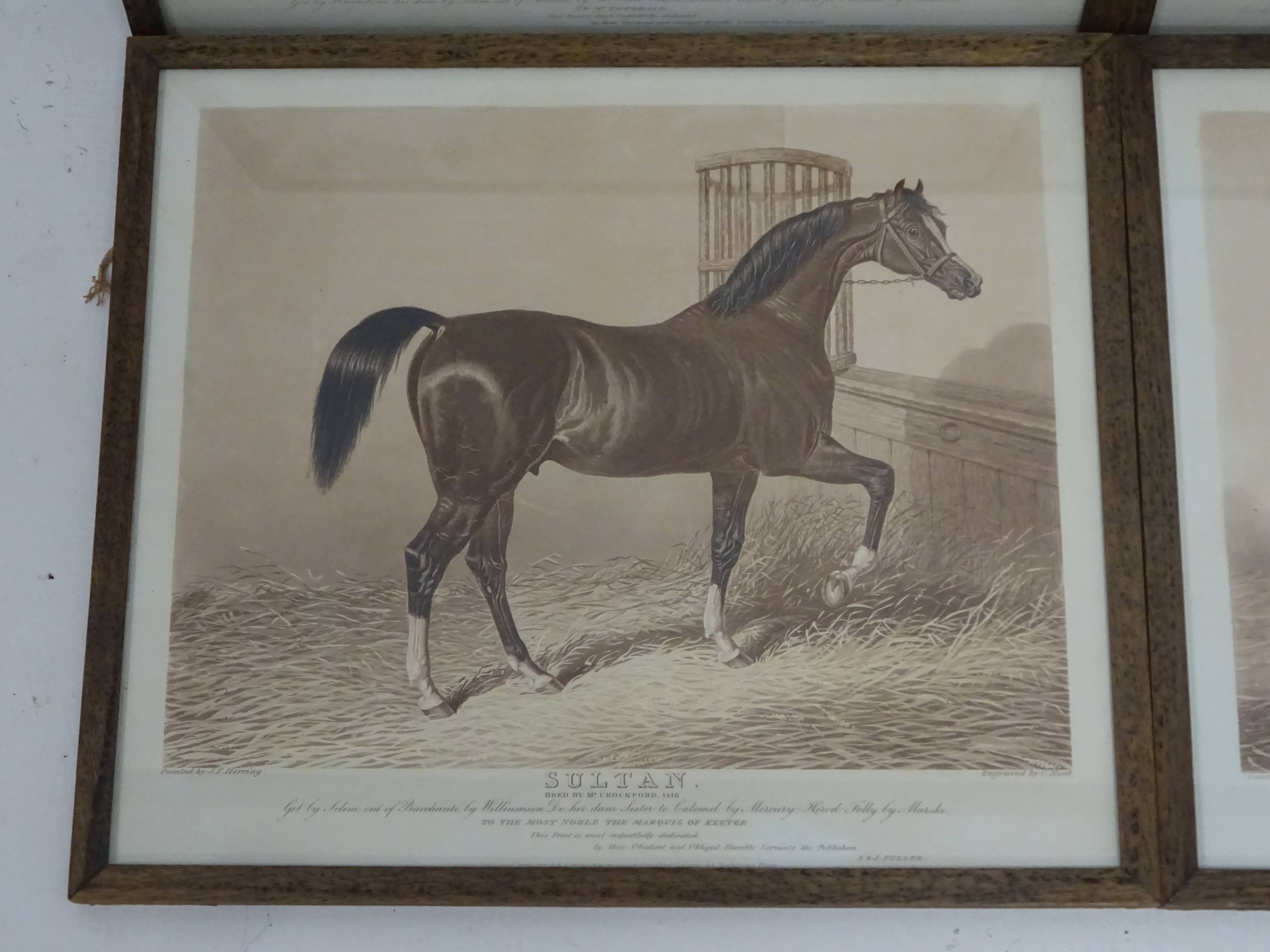 Hunt after Herring - Set of six early 19th Century aquatints of racehorses, 2 proofs, - Image 2 of 7