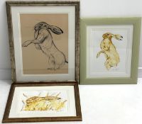 Chris Winch British Contemporary) Study of a Hare, watercolour,
