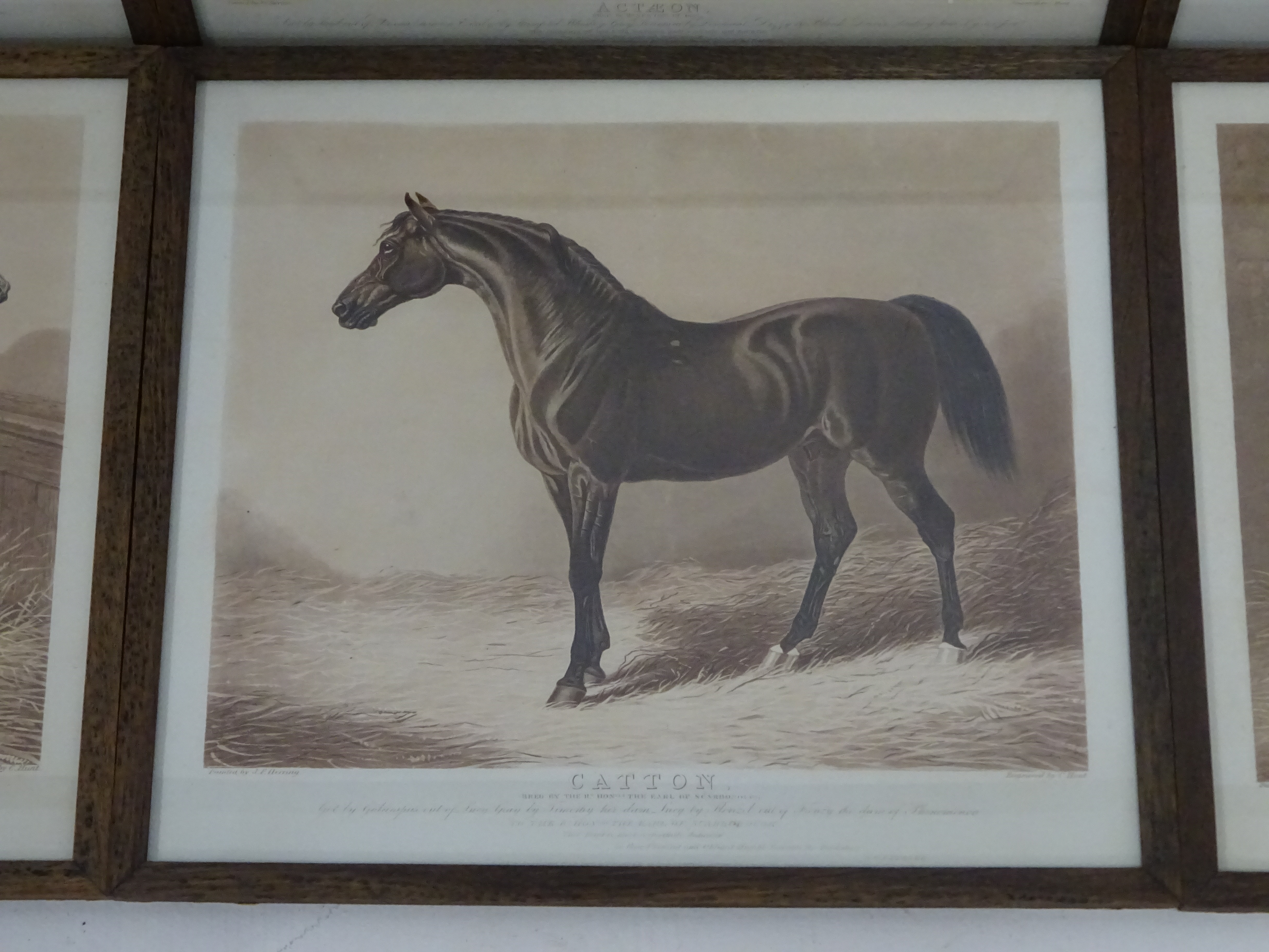 Hunt after Herring - Set of six early 19th Century aquatints of racehorses, 2 proofs, - Image 3 of 7