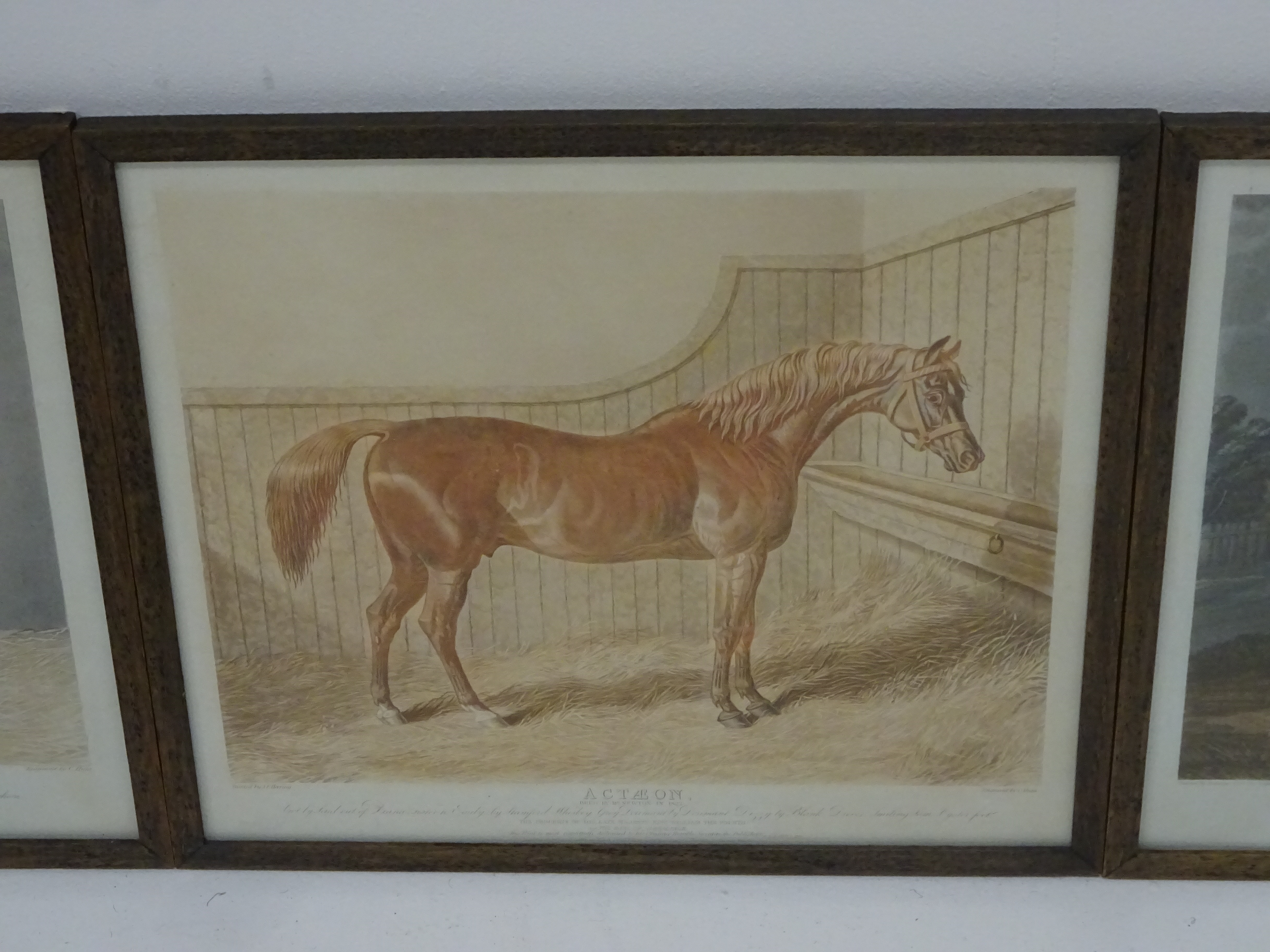 Hunt after Herring - Set of six early 19th Century aquatints of racehorses, 2 proofs, - Image 6 of 7