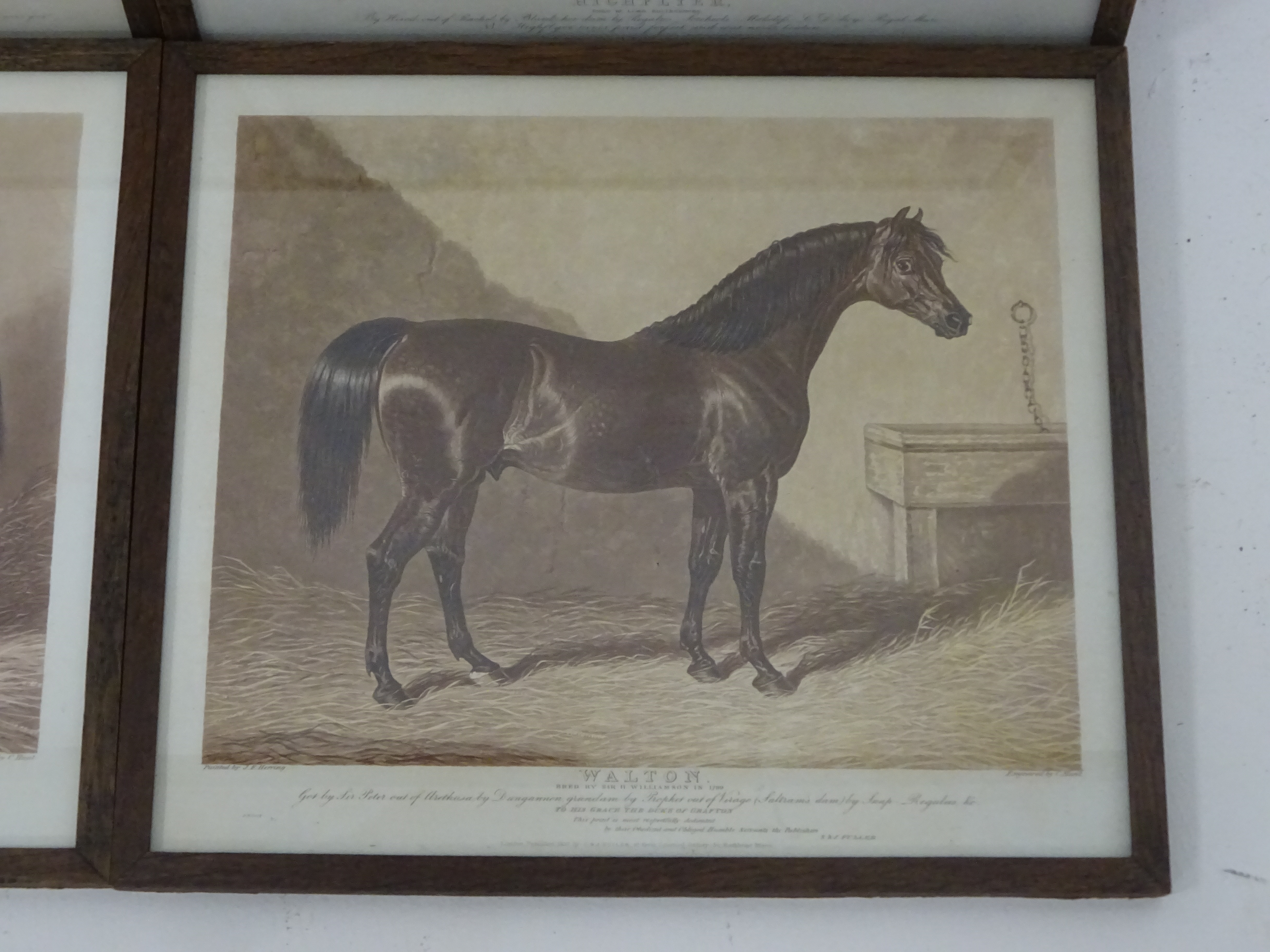 Hunt after Herring - Set of six early 19th Century aquatints of racehorses, 2 proofs, - Image 4 of 7