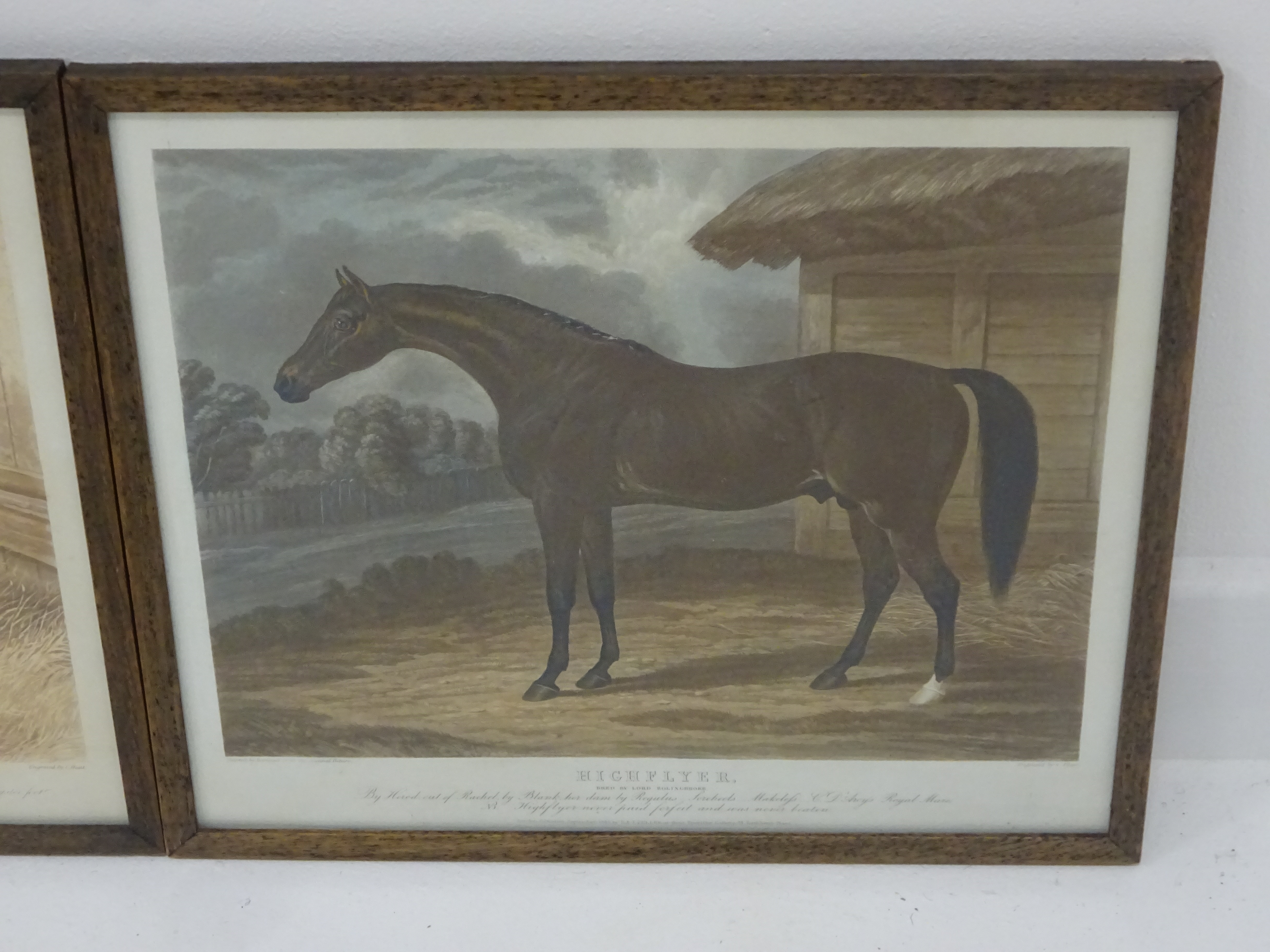 Hunt after Herring - Set of six early 19th Century aquatints of racehorses, 2 proofs, - Image 5 of 7