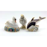 Royal Crown Derby 'Swan' and 'Dolphin' paperweights,