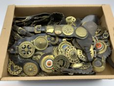 Quantity of horse brasses,