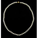 Mikimoto uniform cultured 68 pearl necklace, each pearl 6.