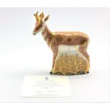 Royal Crown Derby limited edition paperweight modelled as a Pronghorn Antelope 530/950 boxed with