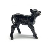 Beswick model of an Aberdeen Angus calf No.