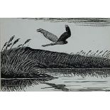 Donald Watson (Scottish 1918 - 2005) monocrome drawing 'Hen Harrier in Winter' the original