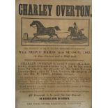 James Freeman (British 19th century): Yorkshire Hackney Horse Portraits 'Charley Overton' and