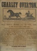 James Freeman (British 19th century): Yorkshire Hackney Horse Portraits 'Charley Overton' and