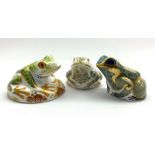 Three Royal Crown Derby paperweights Marsh Frog, Fountain Frog and Hop,