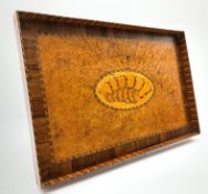 Edwardian rectangular tray with inlaid decoration, shell decoration to the centre,