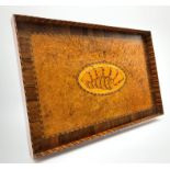 Edwardian rectangular tray with inlaid decoration, shell decoration to the centre,