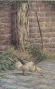 Andrew Charles Benfield (b1965) pair of artist signed limited edition coloured prints of poultry