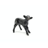 Beswick model of an Aberdeen Angus calf No.