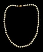 Single strand cultured pearl necklace,