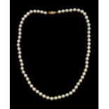 Single strand cultured pearl necklace,