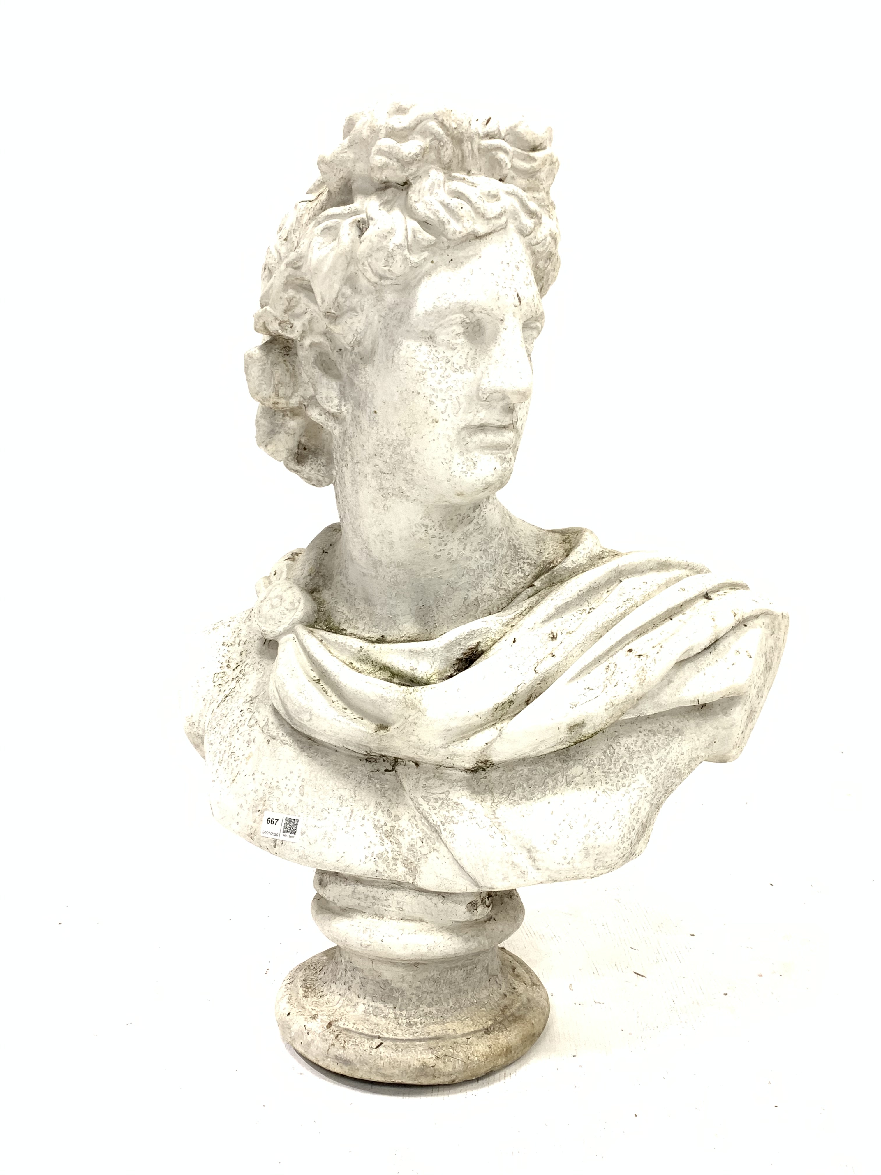 Fibreglass bust of Adonis,