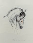 Lydia Kiernan artist signed limited print of a horses head No.