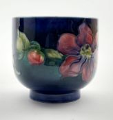 Moorcroft fern pot decorated in the Clematis pattern on a dark blue ground H8.