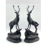 Large pair of bronzed Stags Joules Moigniez, on polished marble bases, H74cm