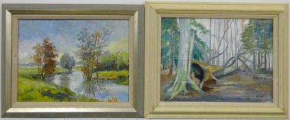 Anne Williams (British 20th century): 'River Derwent, Howsham' and The Fallen Tree, two oils on boar