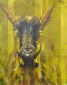 Sarah Williams (British 1961-): Portrait of a Goat, oil on canvas signed and dated 2019 verso 41cm x