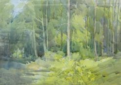 David Jan Curtis (British 1948-): 'Sandal Beat Wood', watercolour signed and dated '81, titled verso