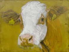 Sarah Williams (British 1961-): Cow, oil on canvas signed verso 41cm x 65cm Notes: Sarah graduated