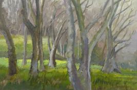 Anne Williams (British 20th century): 'Cliff Top Trees Scarborough', oil on board signed, titled on