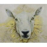 Sarah Williams (British 1961-): White Sheep, oil on canvas signed verso 75cm x 90cm Notes: Sarah g