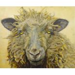Sarah Williams (British 1961-): Brown Sheep, oil on canvas signed verso 75cm x 90cm Notes: Sarah g