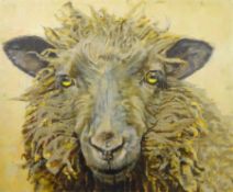 Sarah Williams (British 1961-): Brown Sheep, oil on canvas signed verso 75cm x 90cm Notes: Sarah g