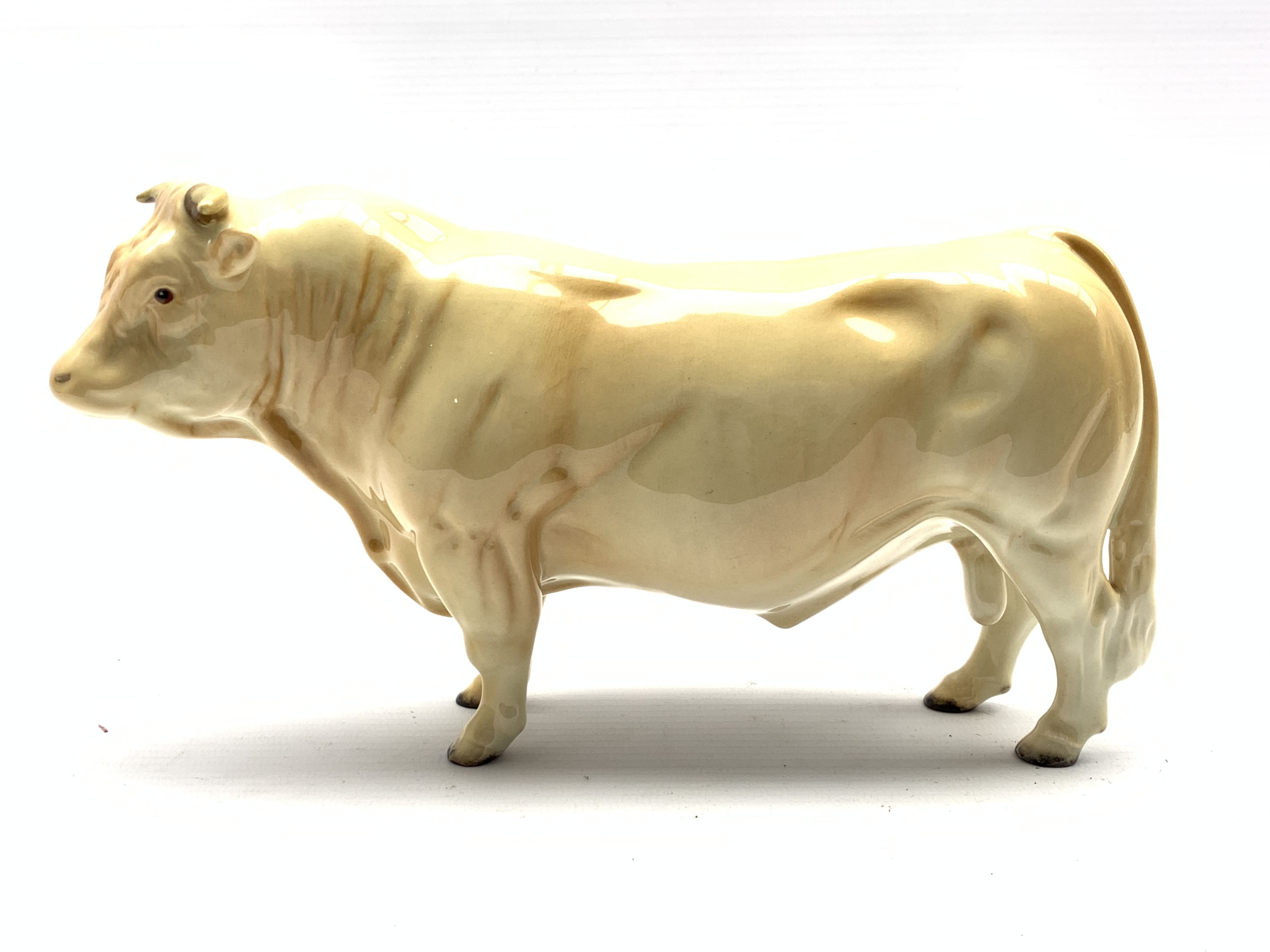 Beswick model of a Charolais bull No. 2463A
