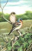 Gordon C Turton (British b.1947) two chaffinch on a branch, oil painting, signed, 37cm x 24cm