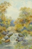 O H Thomas (British early 20th century): Waterfall with Cattle Beyond, watercolour signed 52cm x 34c