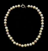 Single strand multi coloured pearl necklace, with silver clasp 925