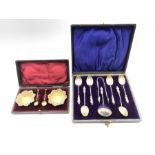 Set of six late Victorian 'Apostle' tea spoons with shell bowls, tongs and sifting spoon Birmingham