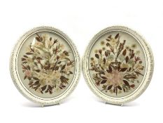 Pair of oval pressed flower pictures in white and gilt frames 30cm x 25cm