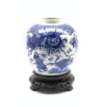 19th century Chinese blue and white jar decorated in underglaze blue with Butterflies and ducks in l