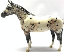 Beswick model of an Appaloosa stallion No. 1772