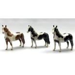Beswick Piebald Pinto pony in gloss, another matt and a Skewbald Pinto pony in gloss, Model No. 137