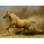 Indistinctly signed oil on board of a galloping Palomino Horse, signed and dated 2014 59cm x 79cm