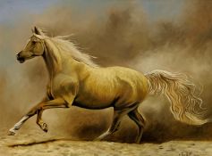 Indistinctly signed oil on board of a galloping Palomino Horse, signed and dated 2014 59cm x 79cm
