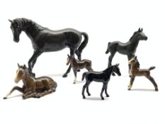 Beswick model of Black Beauty No. 2466, Black Beauty foal No. 2536, black gloss foal No. 1817 and t
