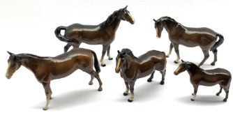 Beswick model of a Swish Tailed Horse No. 1182 in brown gloss, first version, Beswick race horse in