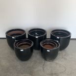 Seventeen black glazed egg cup terracotta planters, D39cm