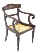 William IV simulated rosewood elbow chair, scroll and shell carved cresting rail with beading above